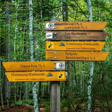 Lindberg Grosser Arber, Wandern & Sauna, Gemuetliches Apartment Im Nationalpark Bayerischen Wald מראה חיצוני תמונה