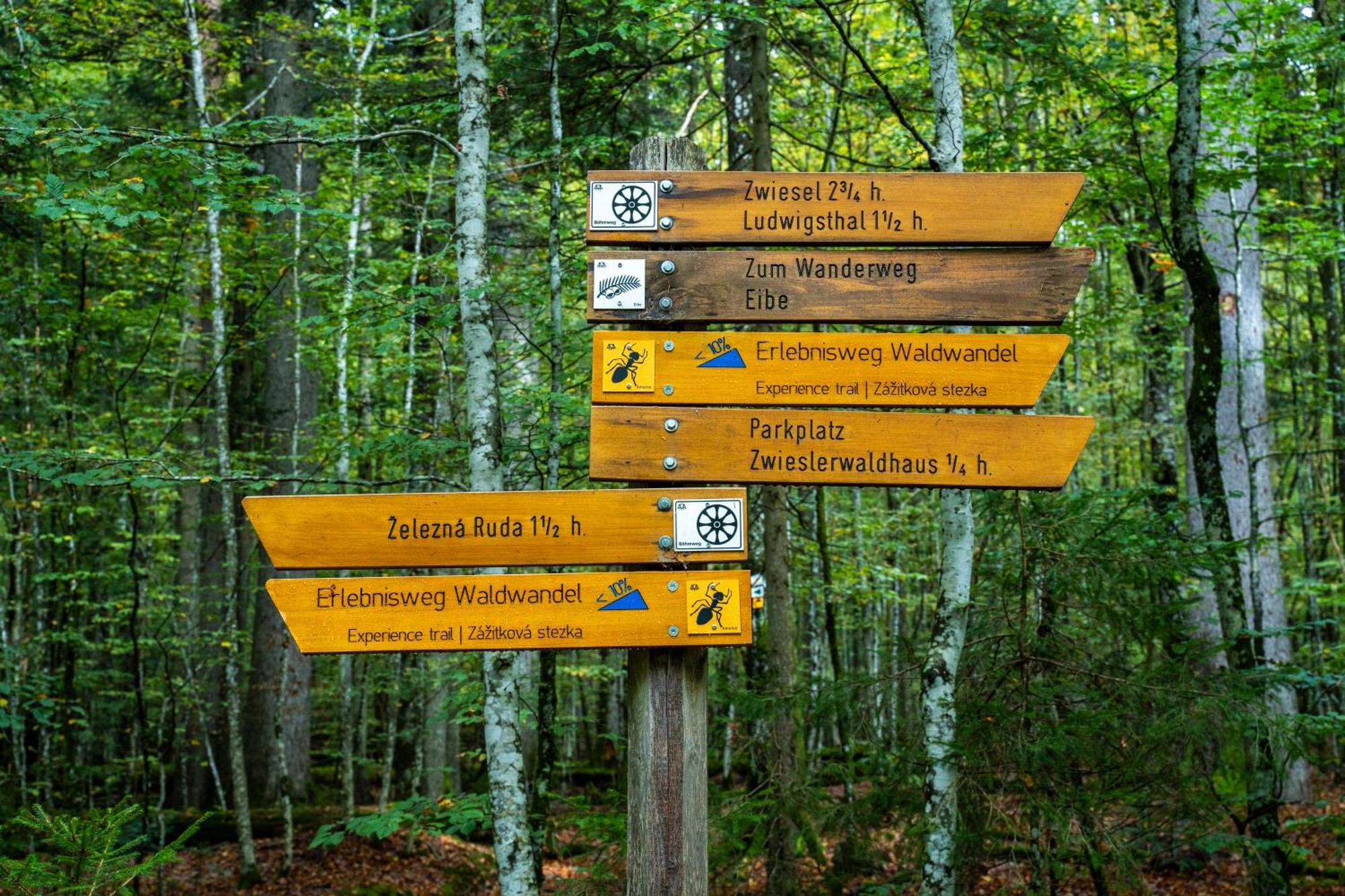 Lindberg Grosser Arber, Wandern & Sauna, Gemuetliches Apartment Im Nationalpark Bayerischen Wald מראה חיצוני תמונה